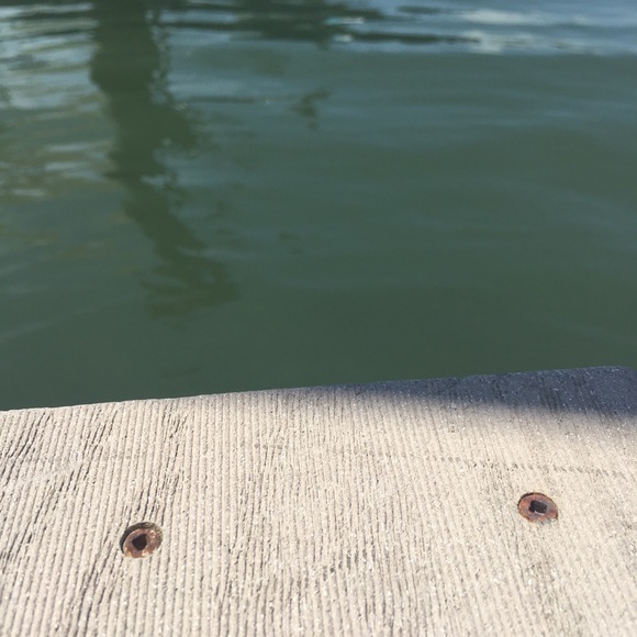 Meet your Posher, Meg - Picture 1 of 1